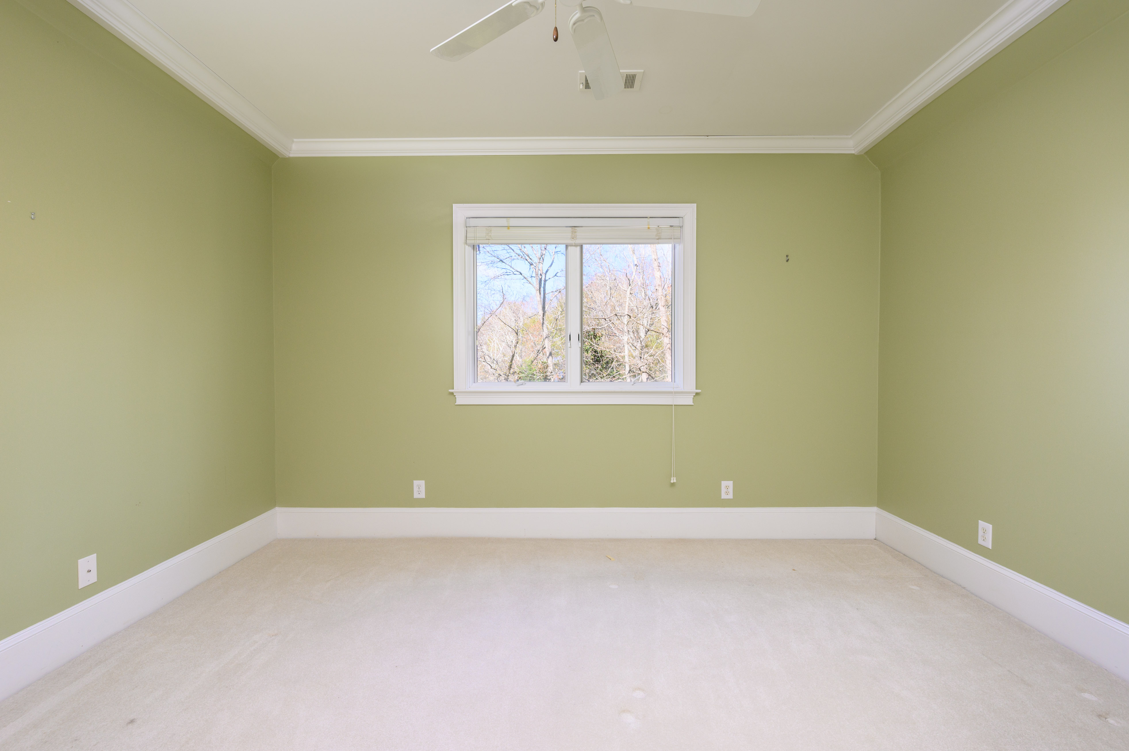 273 Reynolds Drive image 41